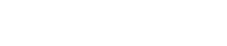 WizExpert